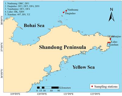 Genome-Wide SNP Markers Based on SLAF-Seq Uncover Genetic Diversity of Saccharina Cultivars in Shandong, China